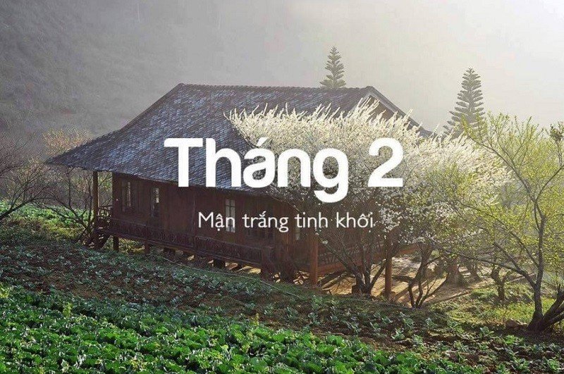 Sapa tháng 2