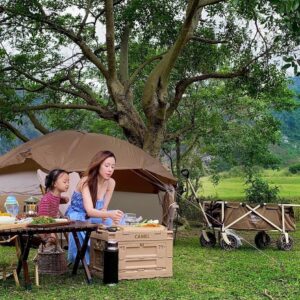 Top những địa điểm picnic Đà Nẵng siêu đẹp