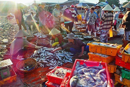 Có hàng trăm loại cá ở chợ Long Hải