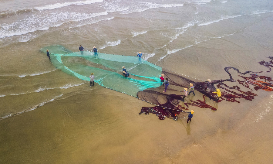 Đánh bắt hải sản ở biển Tam Thanh